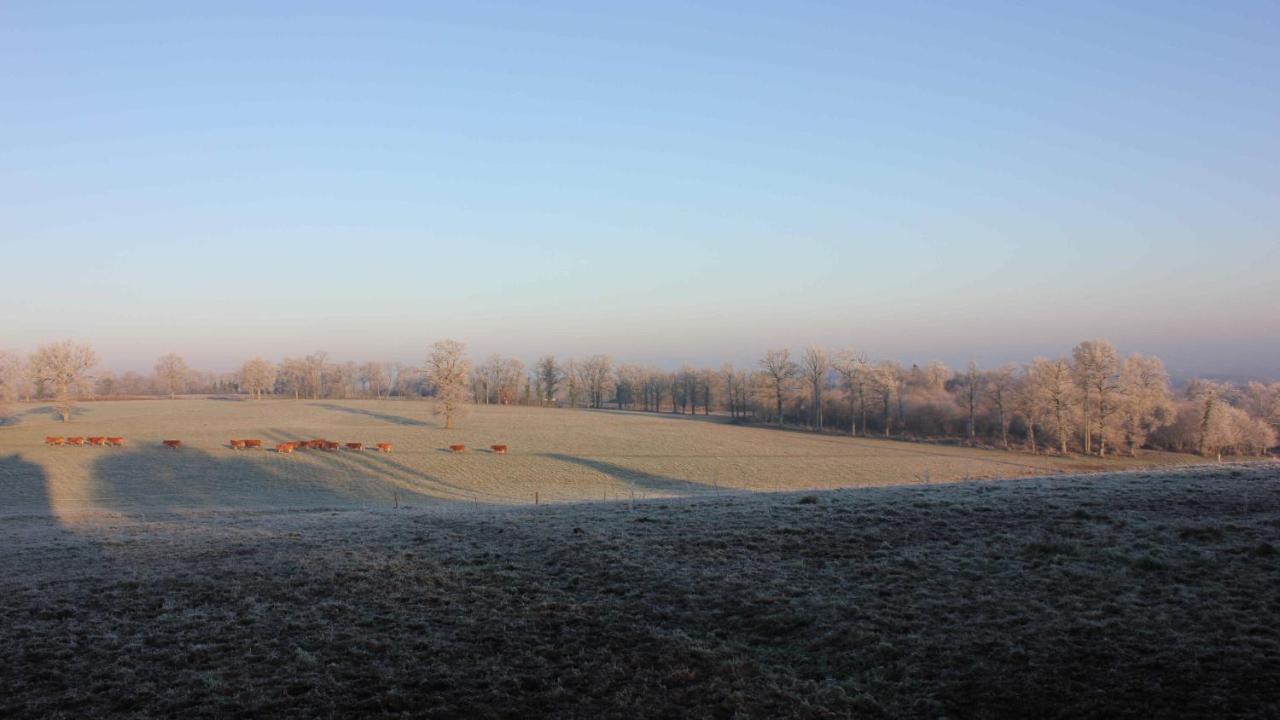 Domaine De Savignac Bed and breakfast