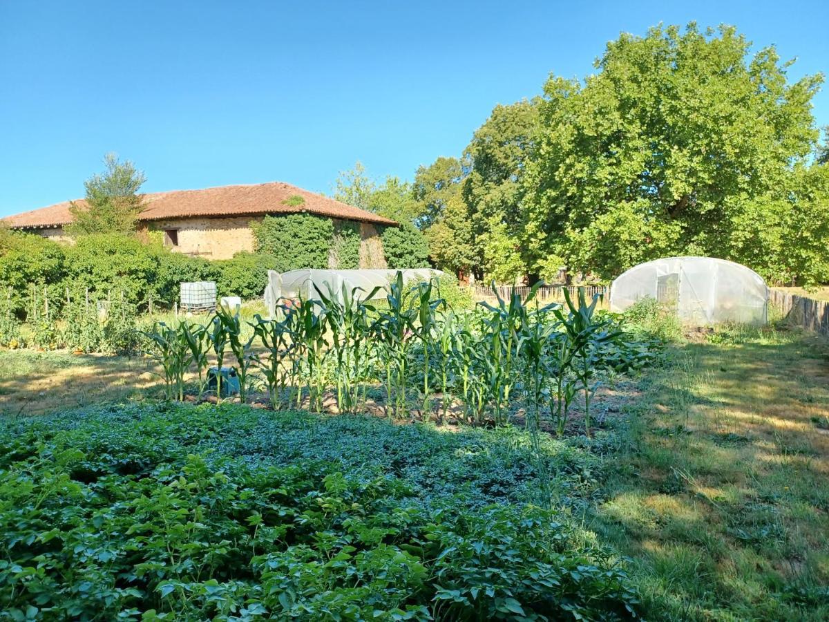 Domaine De Savignac *