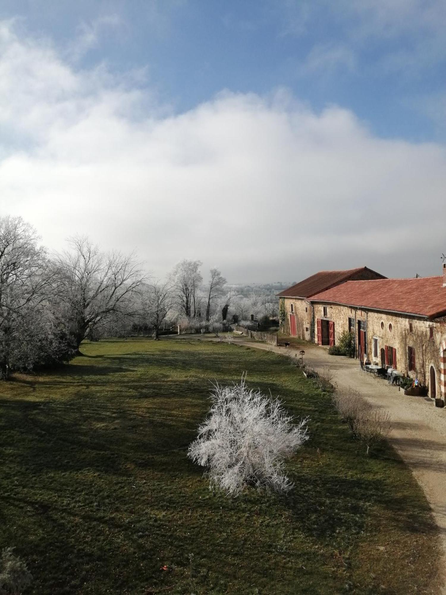 Domaine De Savignac Bed & Breakfast Chabanais
